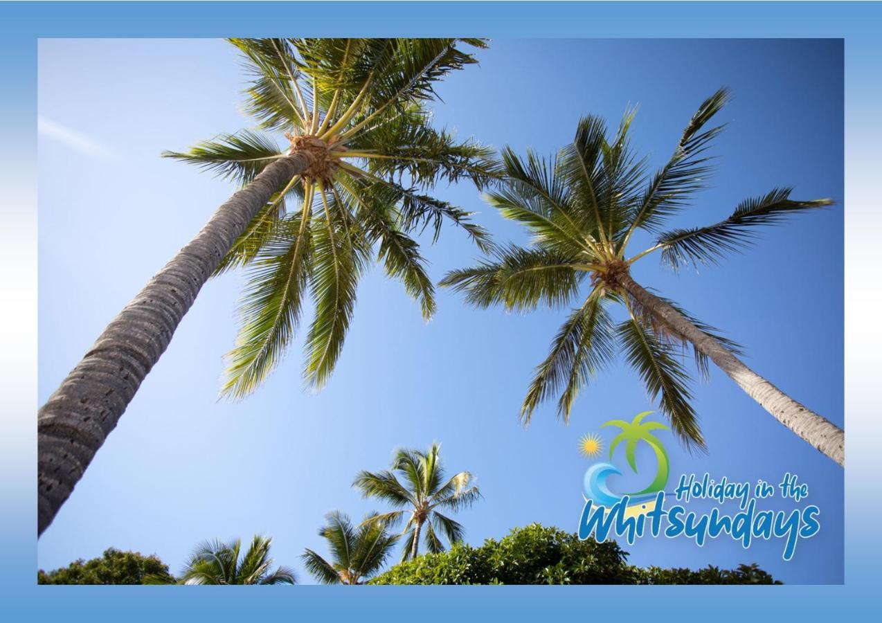 Ocean View 16A Studio Pool & Spa Wi-Fi Еърли Бийч Екстериор снимка